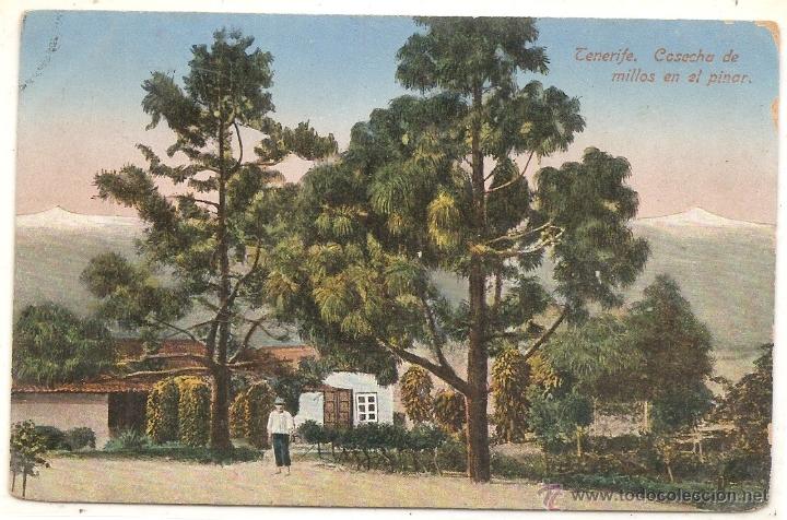 Postales: Tenerife, postal antigua - Foto 1
