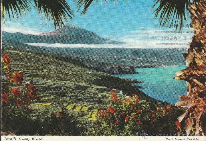 Postales: N&ordm; 25698 POSTAL TENERIFE - Foto 1