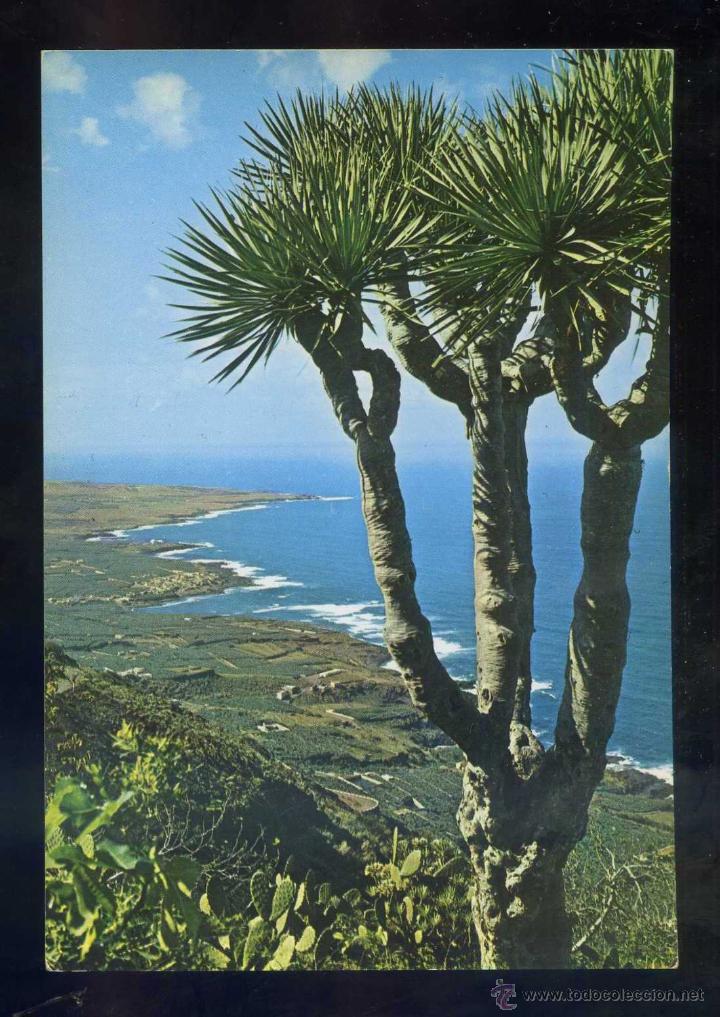 Postales: *Costa Norte* Ed. Gasteiz n&ordm; 2433. Nueva.