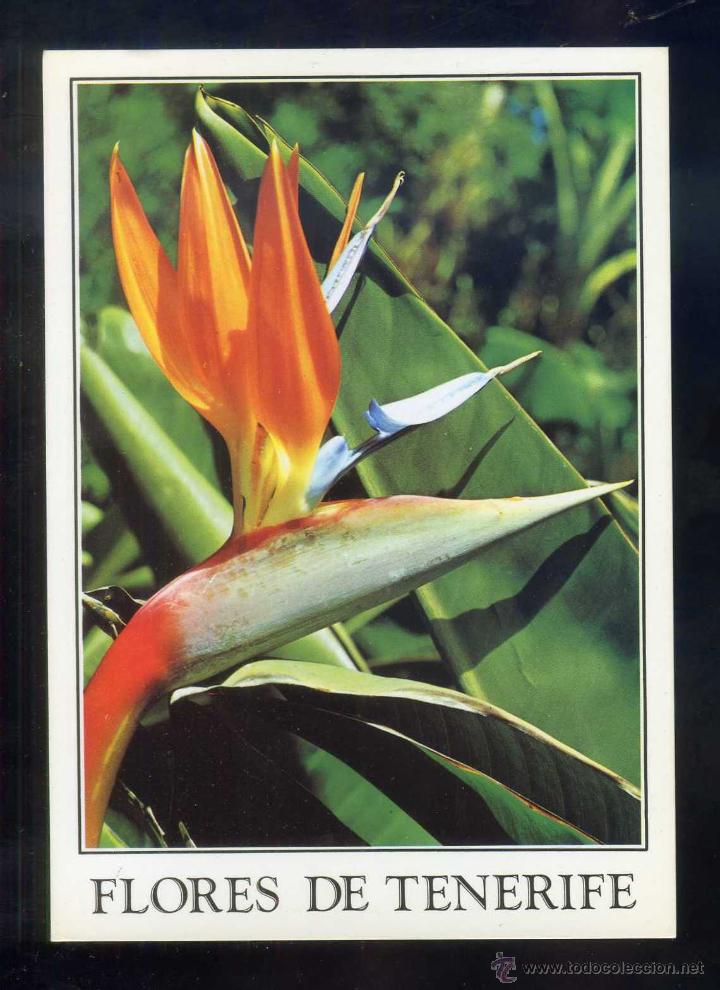 Postkarten: *Flores...* Ed. Gasteiz n&ordm; 2959. Nueva.
