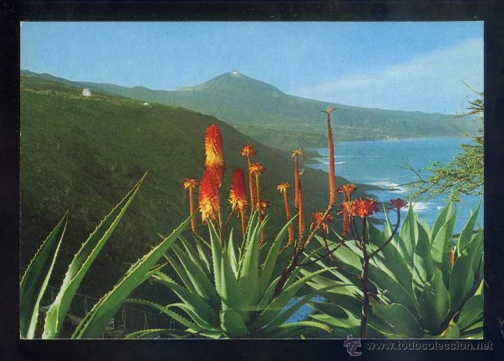 Postales: *Flores y Teide* Ed. Gasteiz n&ordm; 2613. Nueva.
