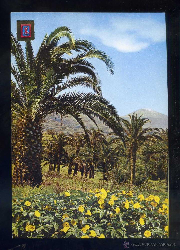 Postales: *Detalle de la Costa Norte* Ed. Fisa n&ordm; 46. Nueva.