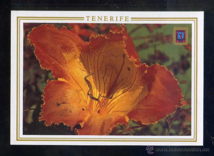 Postales: *Jardines de Tenerife...* Ed. Fisa n&ordm; 311. Nueva.