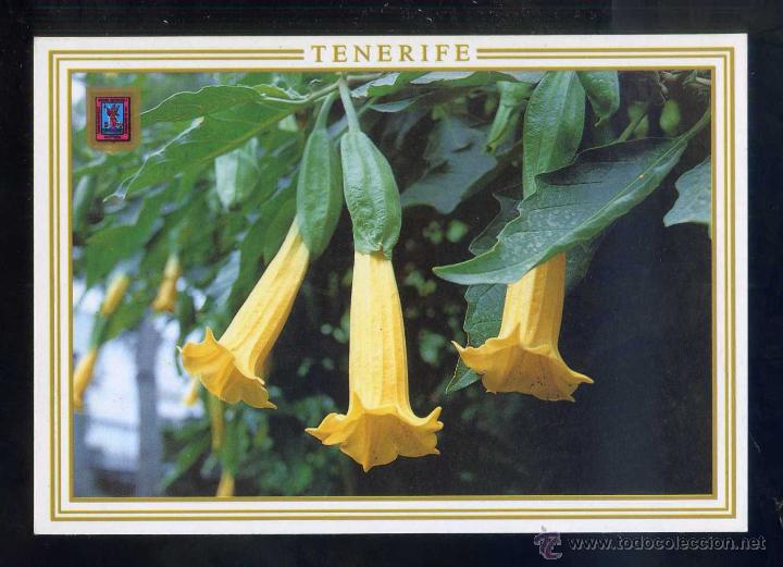 Postales: *Jardines de Tenerife...* Ed. Fisa n&ordm; 303. Nueva.