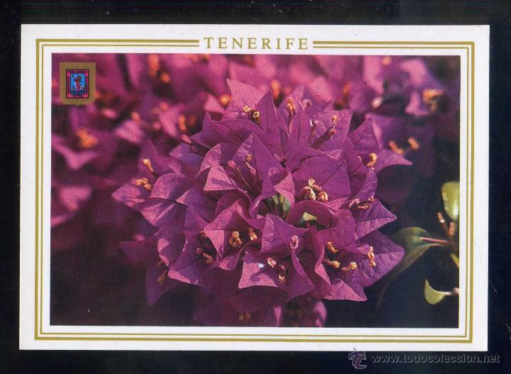Postales: *Jardines de Tenerife...* Ed. Fisa n&ordm; 313. Nueva.