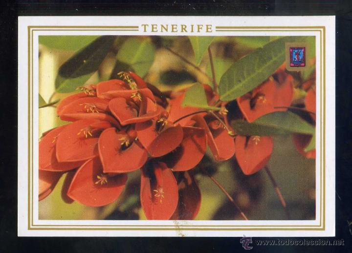 Postales: *Jardines de Tenerife...* Ed. Fisa n&ordm; 312. Nueva.