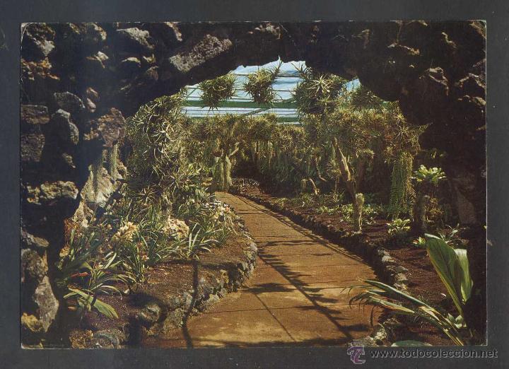 Postales: Puerto de la Cruz *Loro Parque...* Ed. Fisa n&ordm; 4. Circulada 1973.