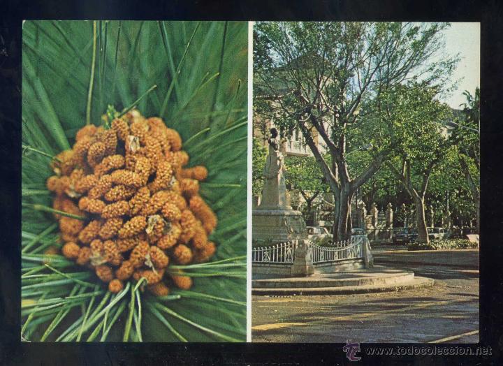 Postales: Santa Cruz de Tenerife *Las Ramblas* Ed. Lit. A. Romero, S.A. Nueva.