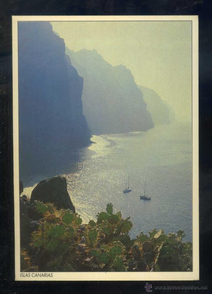 Postales: Los Gigantes *Acantilado...* Ed. Imagina, S.L. n&ordm; 93. Nueva.