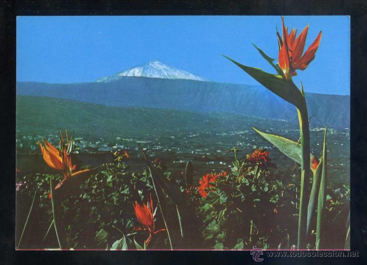 Postales: Puerto de la Cruz *Paisaje del Valle de la Orotava...* Ed. Anibarro n&ordm; 388. Nueva.