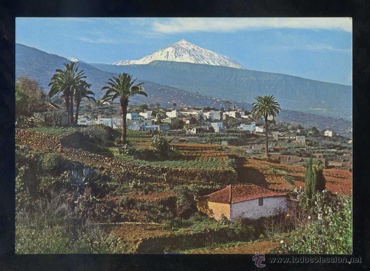 Postales: Puerto de la Cruz. *Valle de la Orotava...* Ed. Ro - Foto n&ordm; 375. Nueva.