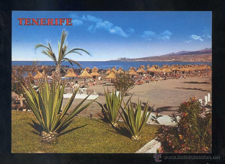 Postales: Playa de las Am&eacute;ricas. Ed. Perla n&ordm; 4164. Nueva.