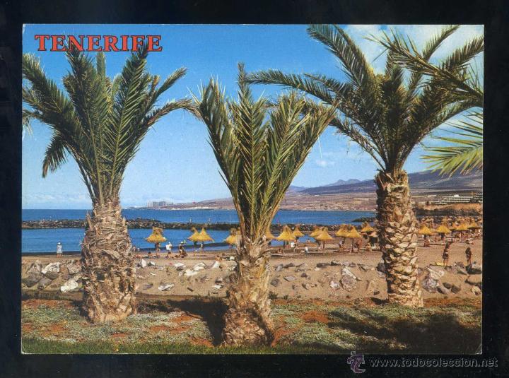 Postales: Playa de las Am&eacute;ricas. Ed. Perla n&ordm; 4154. Nueva.