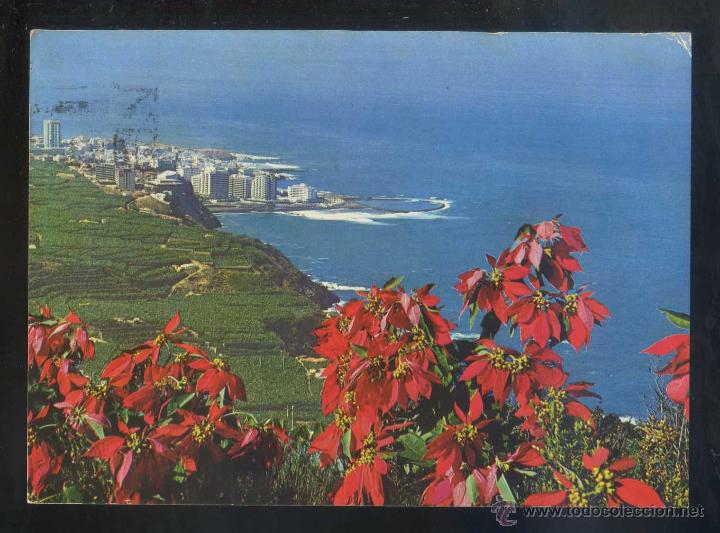 Postales: Puerto de la Cruz. *Costa del Norte...* Ed. H.W. Hintz n&ordm; TEN-5004. Circulada 1977.