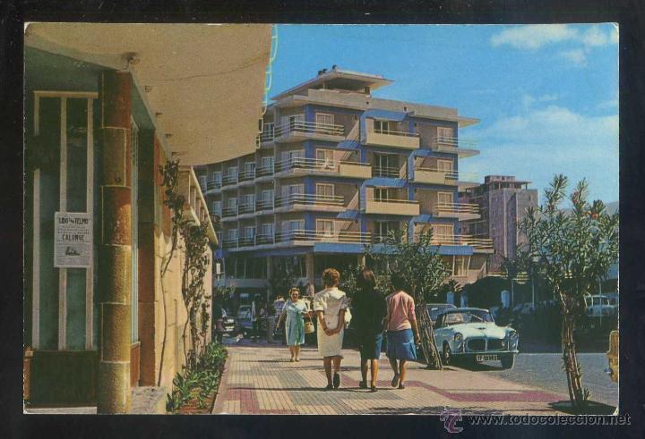 Postales: Puerto de la Cruz. *Paseo de Col&oacute;n...* Ed. Sucesor de V&iacute;ctor Gonz&aacute;lez Delgado n&ordm; 28-A. Escrita.