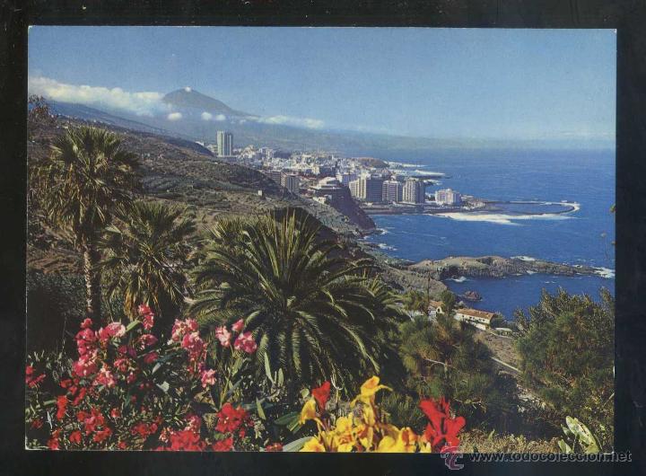 Postales: Puerto de la Cruz *Costa del Norte...* Ed. H.W. Hintz n&ordm; TEN-5003. Nueva.