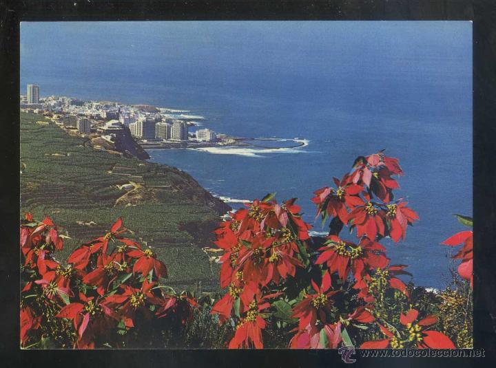 Postales: Puerto de la Cruz *Costa del Norte...* Ed. H.W. Hintz n&ordm; TEN-5004. Nueva.