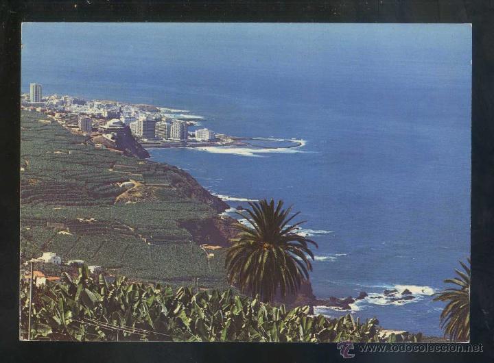 Postales: Puerto de la Cruz *Plataneras...* Ed. H.W. Hintz n&ordm; TEN-5002. Nueva.