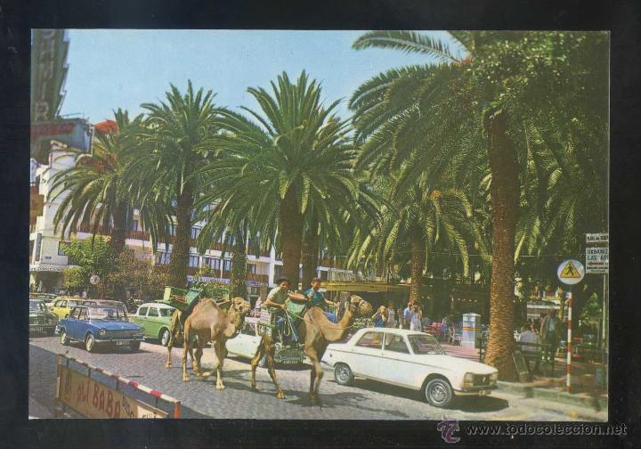 Postales: Puerto de la Cruz *Plaza del Charco* Ed. Anibarro n&ordm; 28. Nueva.