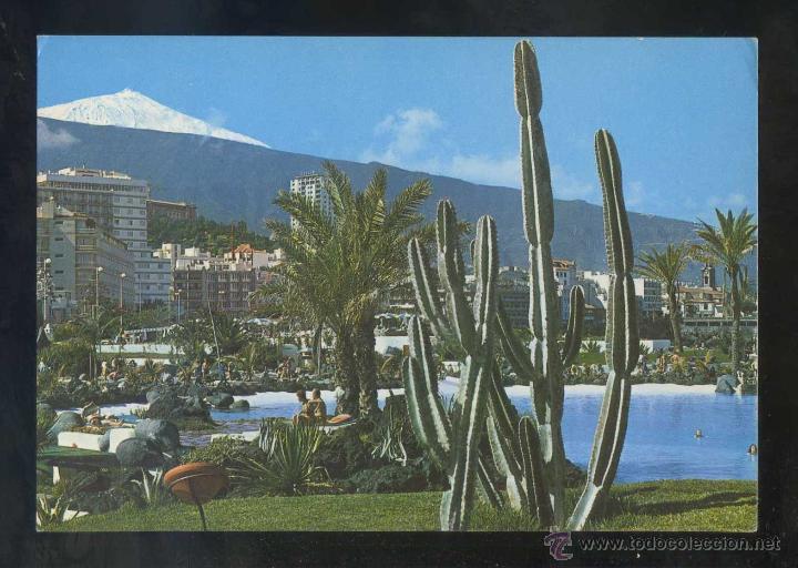 Postales: Puerto de la Cruz *Vista...* Ed. Anibarro n&ordm; 95. Circulada 1981.