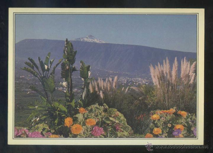 Postales: Puerto de la Cruz *Paisaje...* Ed. Anibarro n&ordm; 101. Nueva.