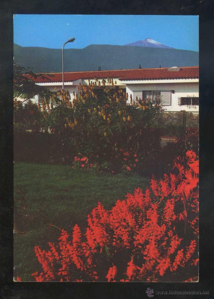 Postales: Puerto de la Cruz *Rinc&oacute;n...* Ed. Arribas n&ordm; 496. Circulada 1971.