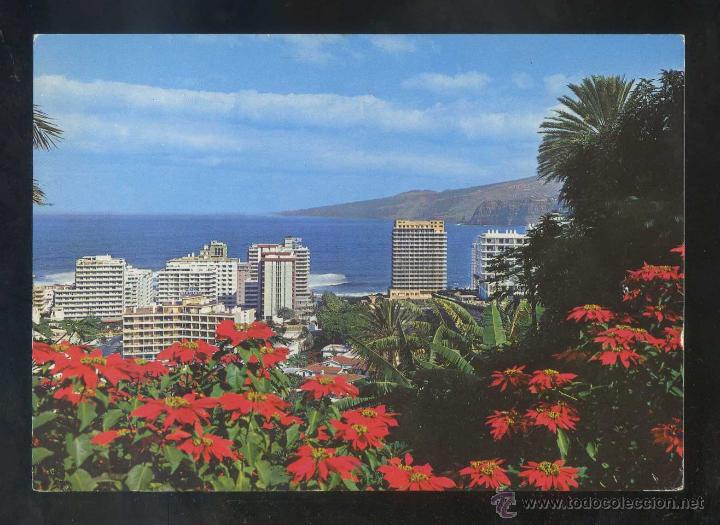 Postales: Puerto de la Cruz *Vista...* Ed. Arribas n&ordm; 10. Circulada.