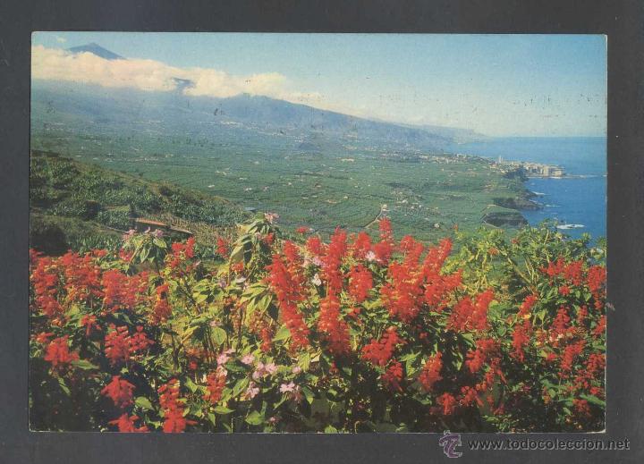 Postales: Puerto de la Cruz *Valle...* Ed. Bergas n&ordm; 55. Circulada.