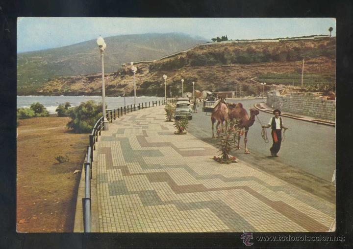 Postales: Puerto de la Cruz *Paseo...* Ed. A.Campa&ntilde;&aacute; y J.Puig-Ferr&aacute;n serie II n&ordm; 7365. Circulada correo a&eacute;reo.