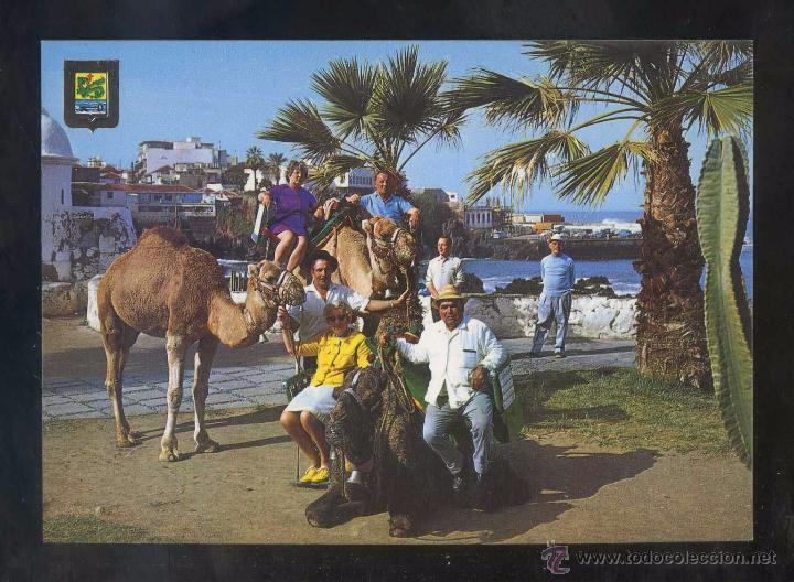 Postales: Puerto de la Cruz *Detalle t&iacute;pico* Ed. Fisa n&ordm; 53. Nueva.