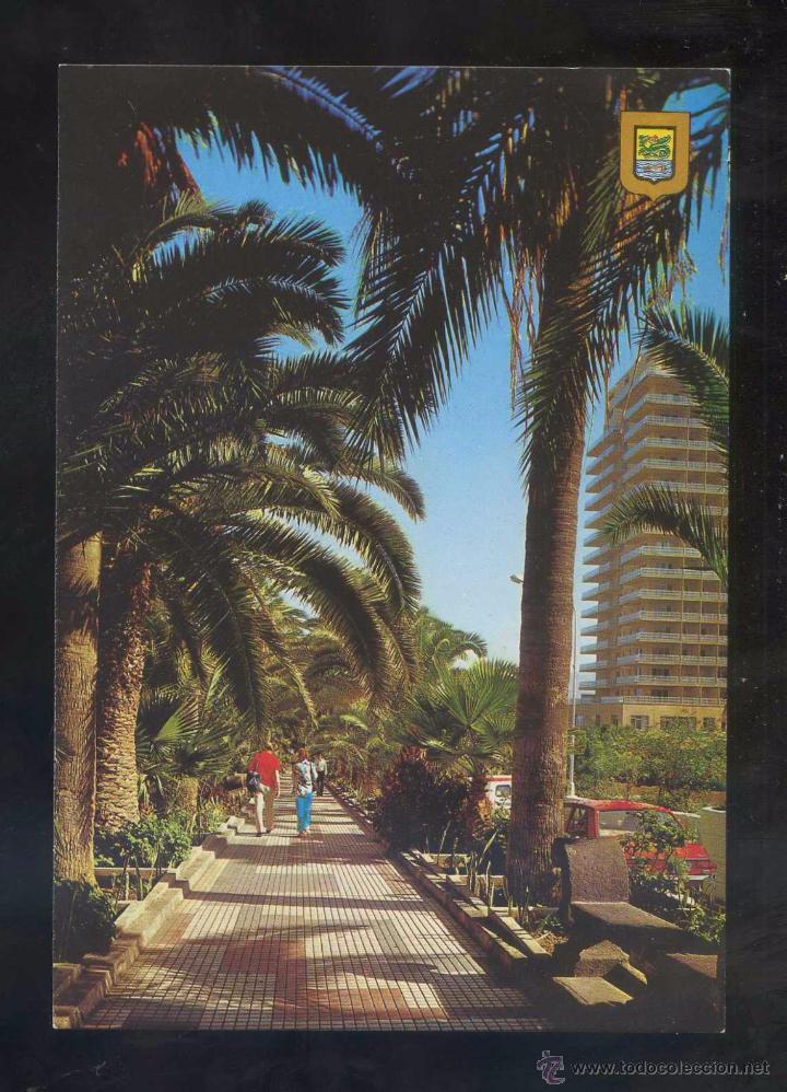 Postales: Puerto de la Cruz *Palmeras y Paseo...* Ed. Fisa n&ordm; 56. Nueva.