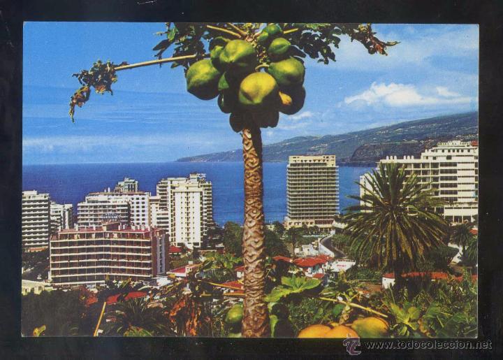 Postales: Puerto de la Cruz *Panor&aacute;mica...* Ed. Eurimpex n&ordm; PU-101. Nueva.