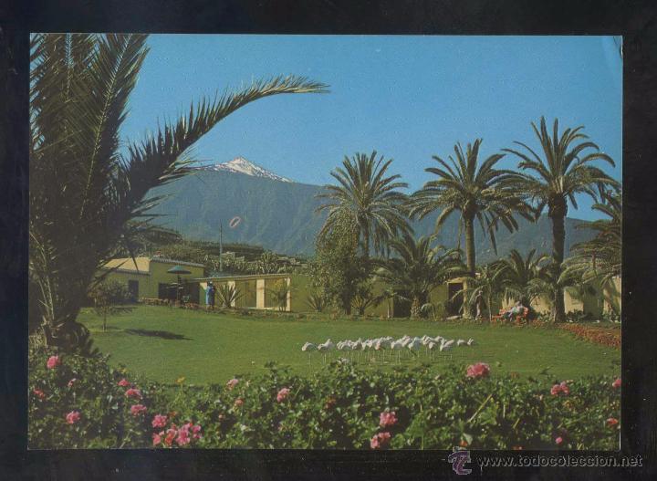 Postales: Puerto de la Cruz *Vista...* Ed. Eurimpex n&ordm; PU-154. Nueva.