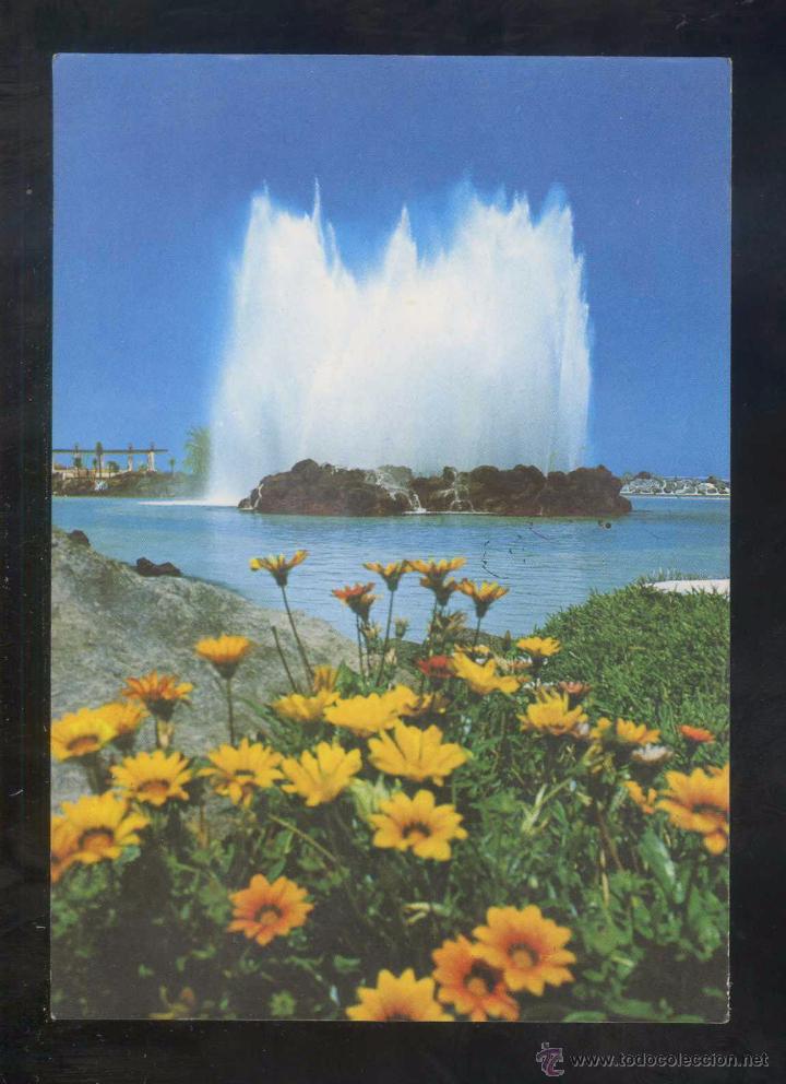 Postales: Puerto de la Cruz *Flores...* Ed. Eurimpex n&ordm; PU-156. Nueva.