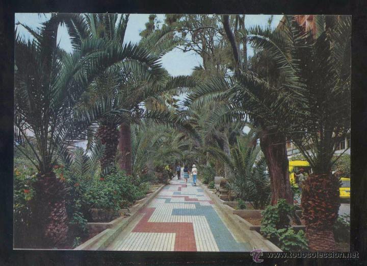 Postales: Puerto de la Cruz *Paseo...* Ed. Gasteiz n&ordm; 2810. Nueva.