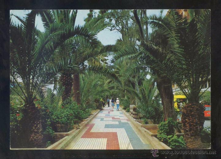Postales: Puerto de la Cruz *Paseo...* Ed. Gasteiz n&ordm; 2810. Circulada.