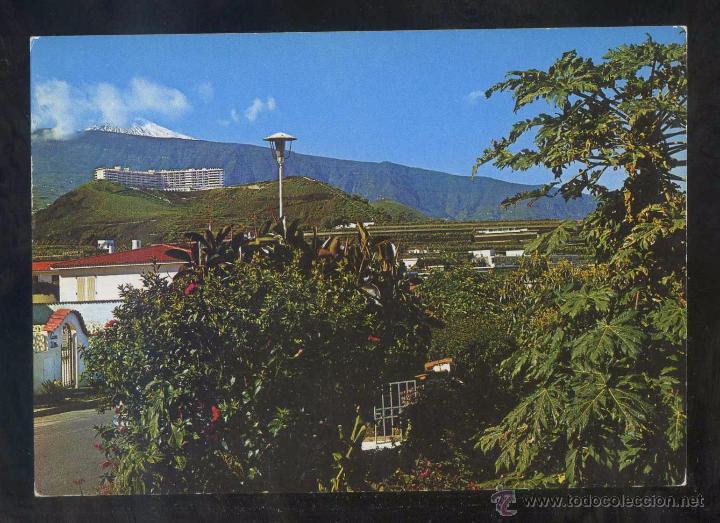 Postales: Puerto de la Cruz *Urbanizaci&oacute;n El Durazno* Ed. Gasteiz n&ordm; 2901. Nueva.