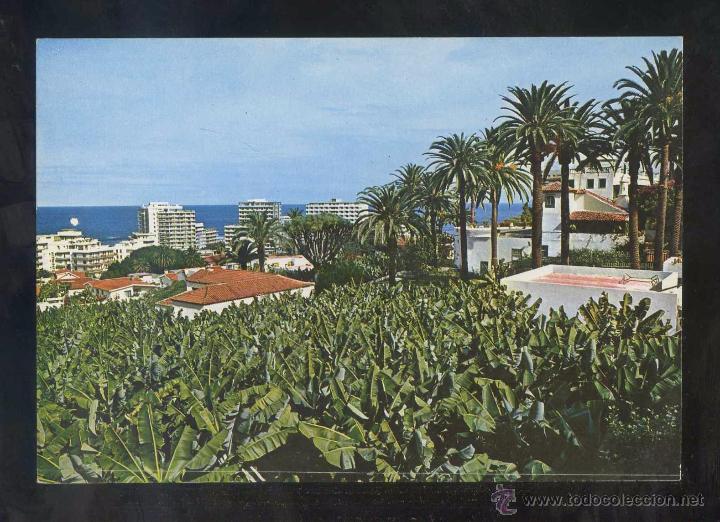 Postales: Puerto de la Cruz *Vista...* Ed. Gasteiz n&ordm; 2265. Nueva.
