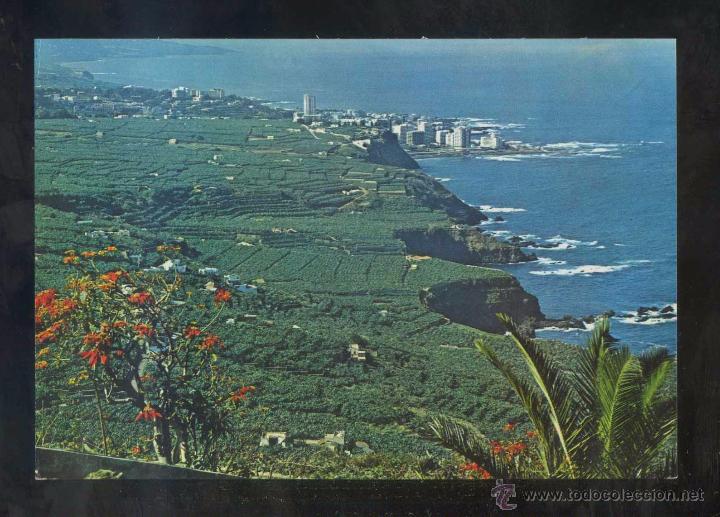 Postales: Puerto de la Cruz *Valle...* Ed. Gasteiz n&ordm; 2296. Nueva.