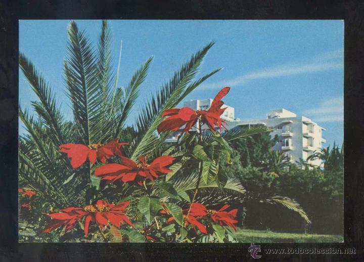Postales: Puerto de la Cruz *Hotel Miramar...* Ed. Gasteiz n&ordm; 2459. Nueva.
