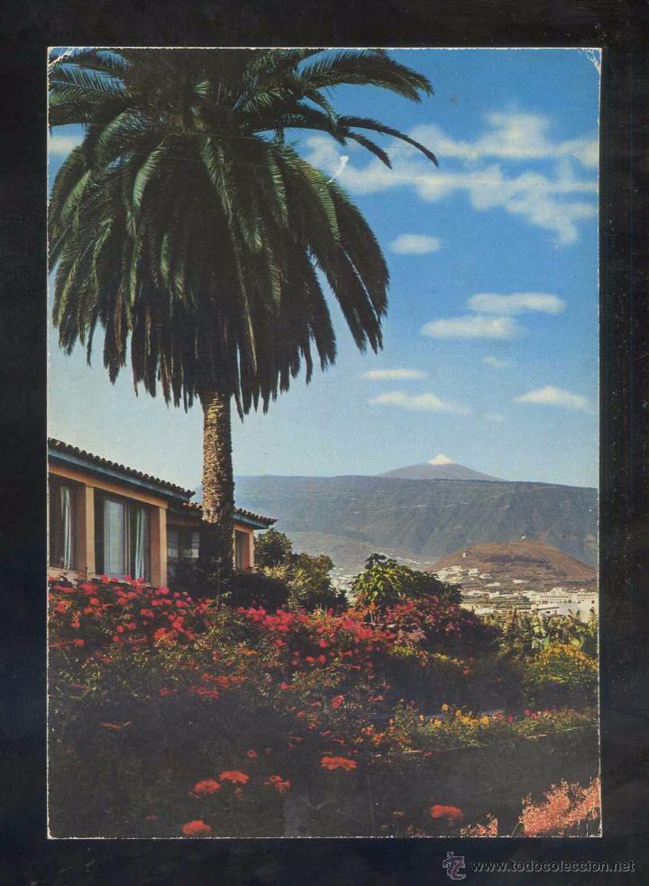 Postales: Puerto de la Cruz. *Palmera...* Ed. Global Traders n&ordm; 32. Nueva.