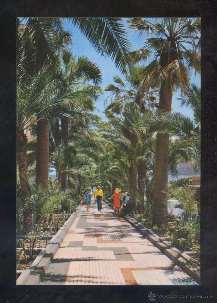 Postales: Puerto de la Cruz *Paseo...* Ed. Global Traders n&ordm; 41. Nueva.