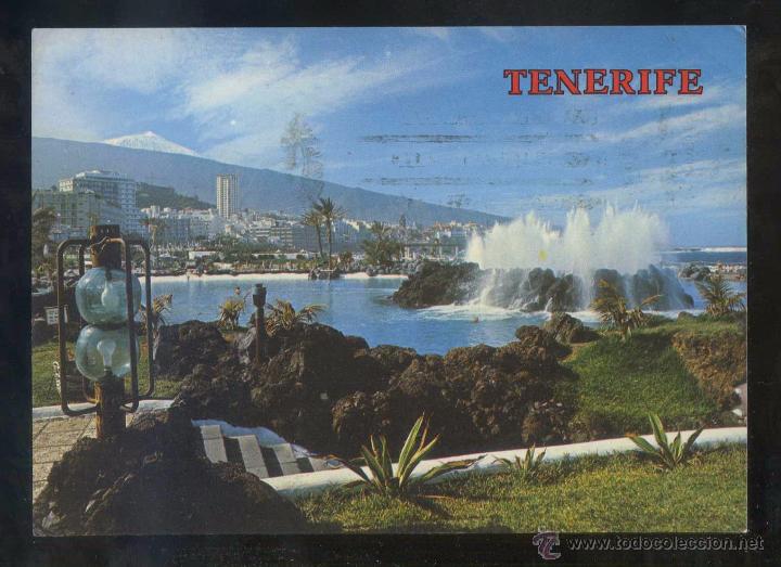 Postales: Puerto de la Cruz. Ed. Perla n&ordm; 5571. Circulada 1981.