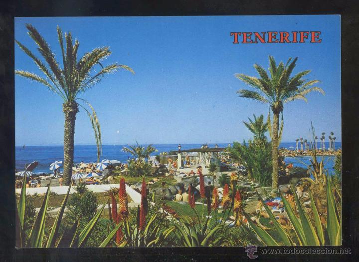 Postales: Puerto de la Cruz. Ed. Perla n&ordm; 5551. Escrita.