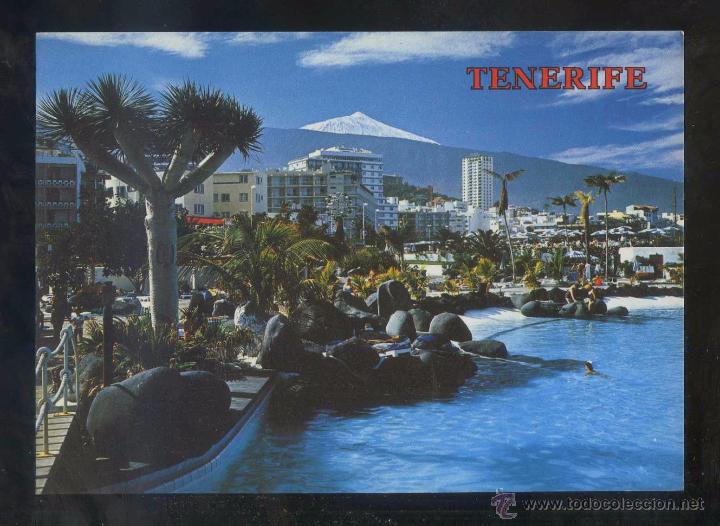 Postales: Puerto de la Cruz. Ed. Perla n&ordm; 5554. Circulada 1981.