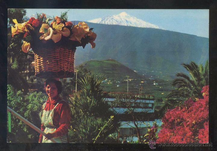 Postales: Puerto de la Cruz. Ed. Ro-Foto n&ordm; 316. Nueva.