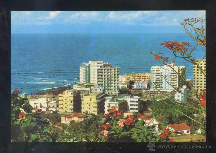 Postales: Puerto de la Cruz. Ed. Ro-Foto n&ordm; 336. Nueva.