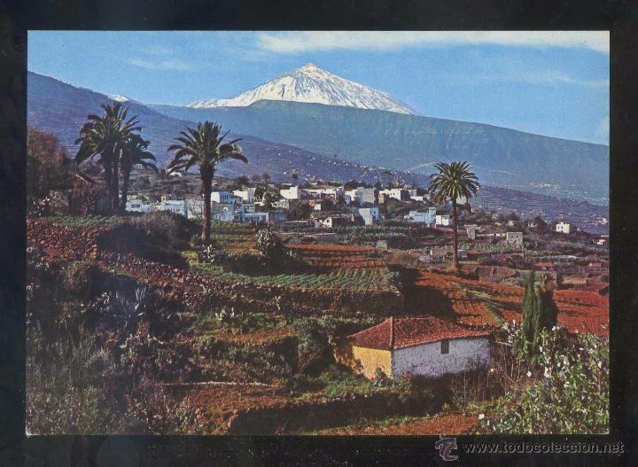 Postales: Puerto de la Cruz. Ed. Ro-Foto n&ordm; 375. Nueva.