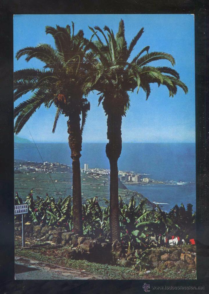 Postales: Puerto de la Cruz. Ed. Ro-Foto n&ordm; 400. Nueva.