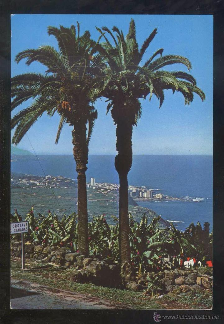 Postales: Puerto de la Cruz. Ed. Ro-Foto n&ordm; 400. Escrita.
